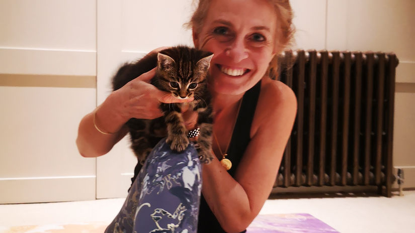 Yoga with a kitten